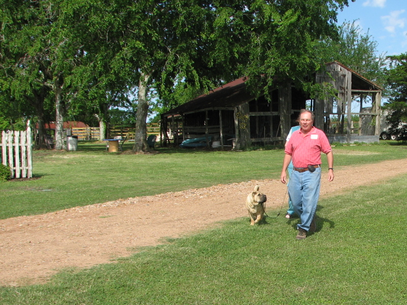 Ed Murphy and one of his shar peis